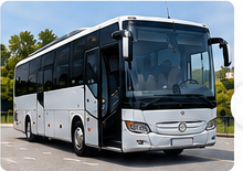 Mercedes Intouro